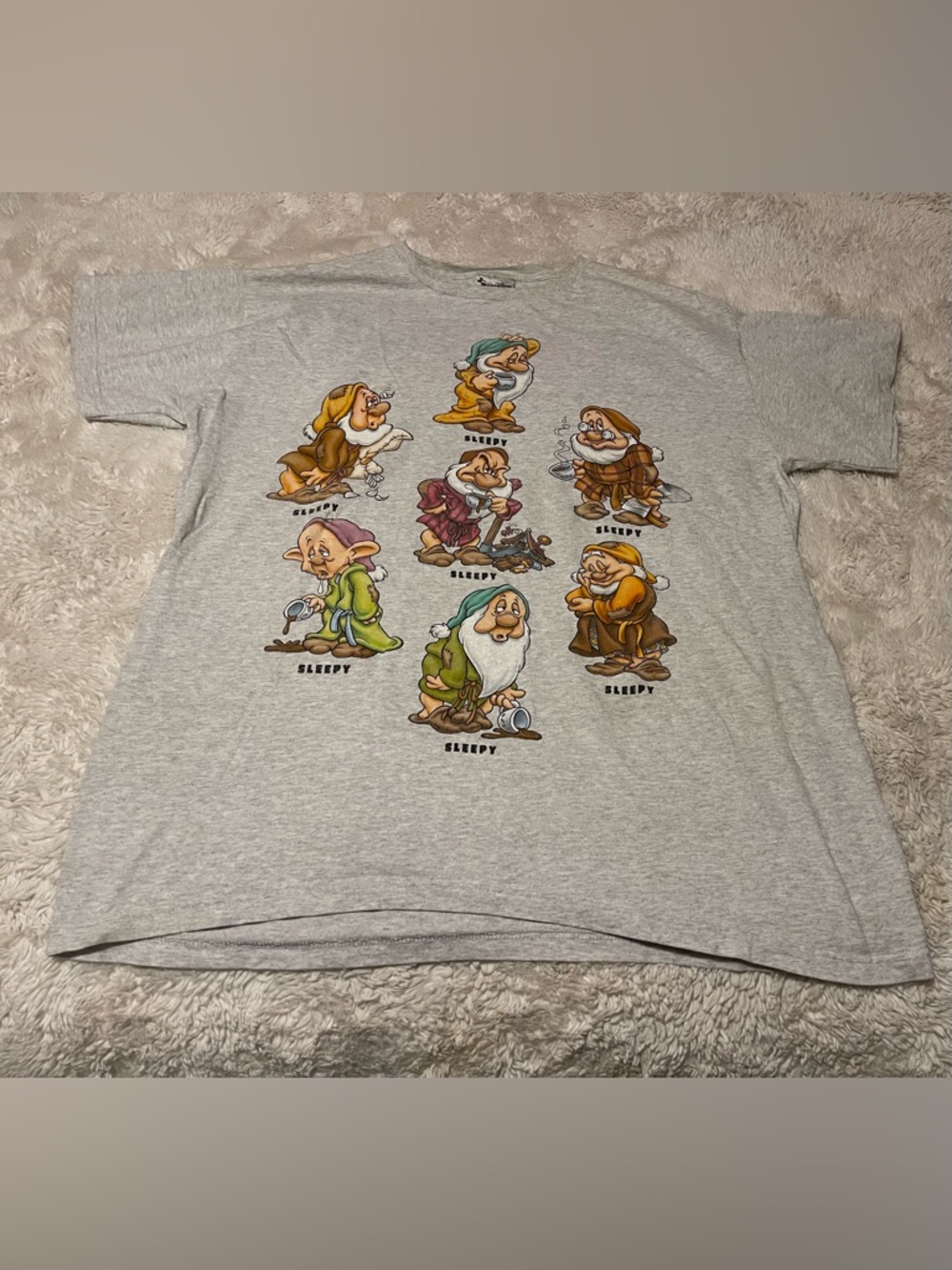Vintage 90’s Disney Would The Real Sleepy Please Stand Up T-Shirt OS Snow White